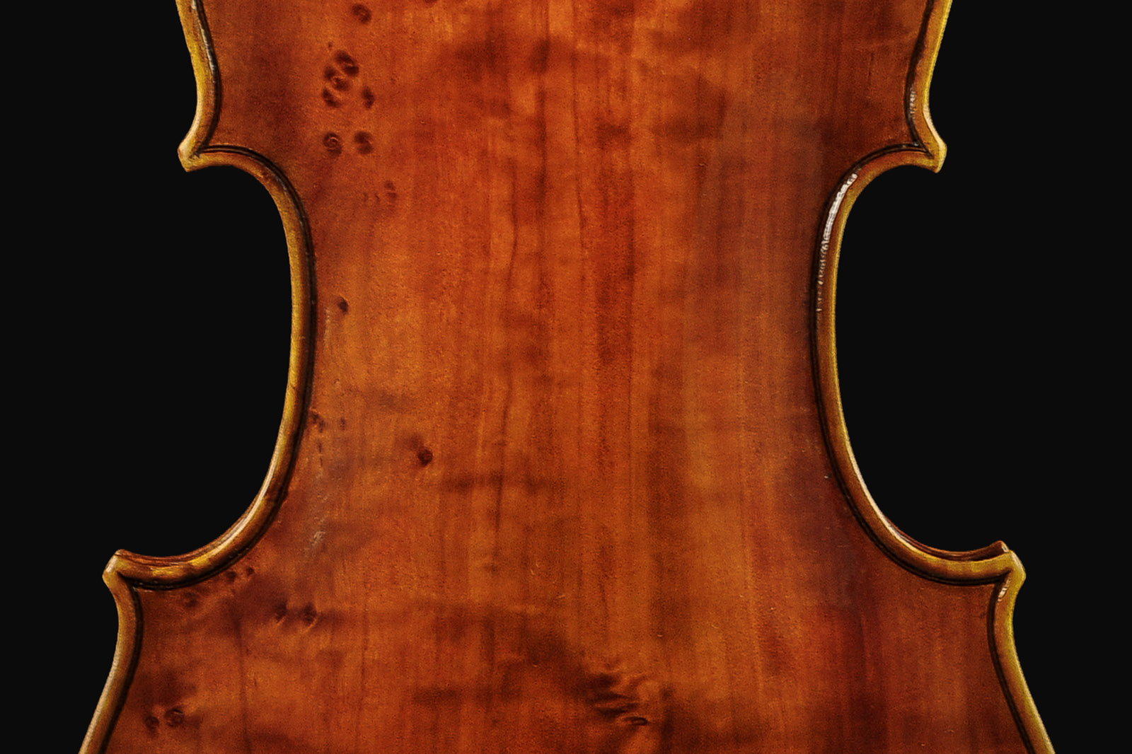 Antonio Stradivari Cremona 1672 “Populus“ cm 42 - Image 7