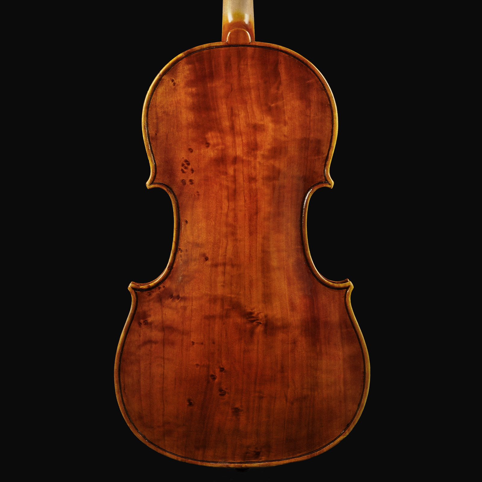 Antonio Stradivari Cremona 1672 “Populus“ cm 42 - Image 9