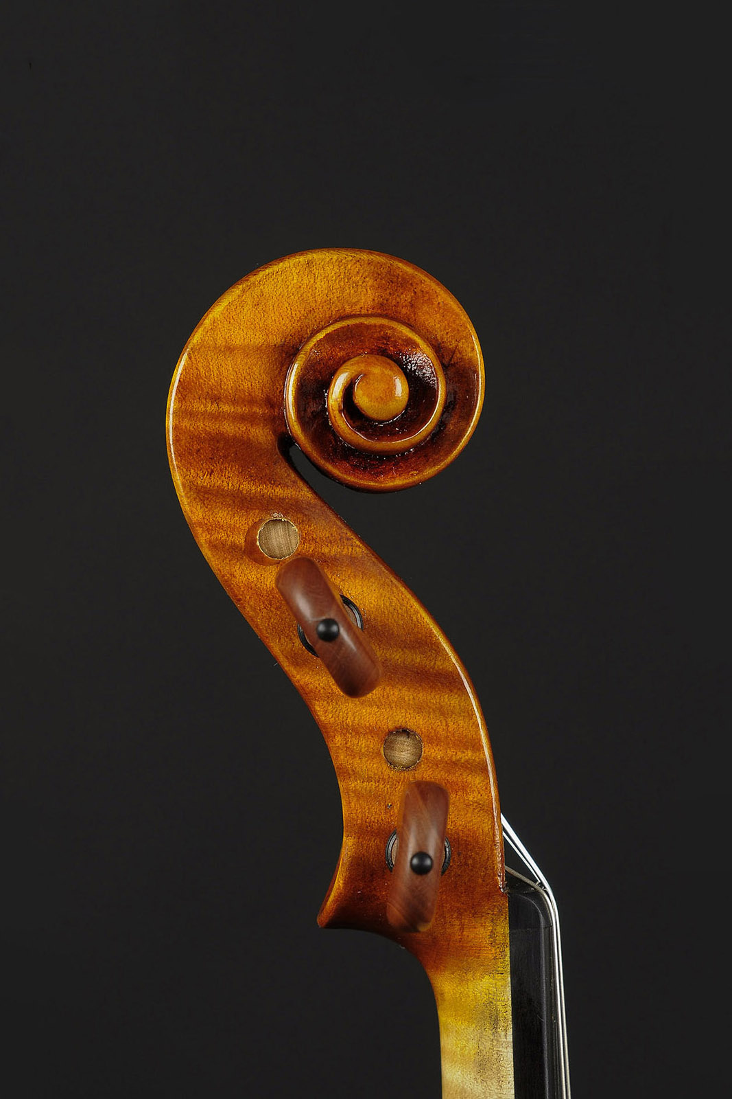 Antonio Stradivari Cremona 1717 “Renaissance Wood“ - Image 7