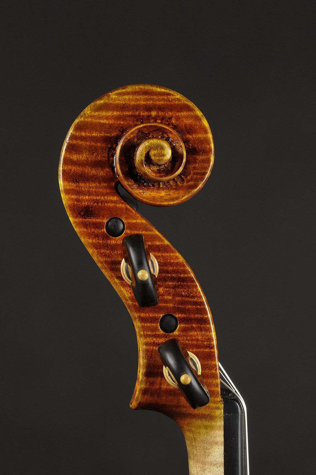 Antonio Stradivari Cremona 1717 “Golden Period“ - Image 5