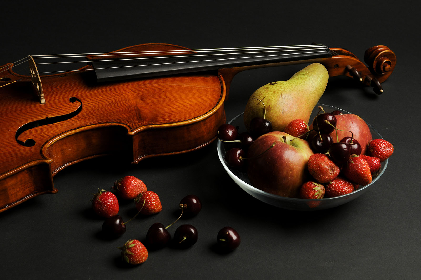 Antonio Stradivari Cremona 1672 “Salice Gattone“ cm 42 - Image 10