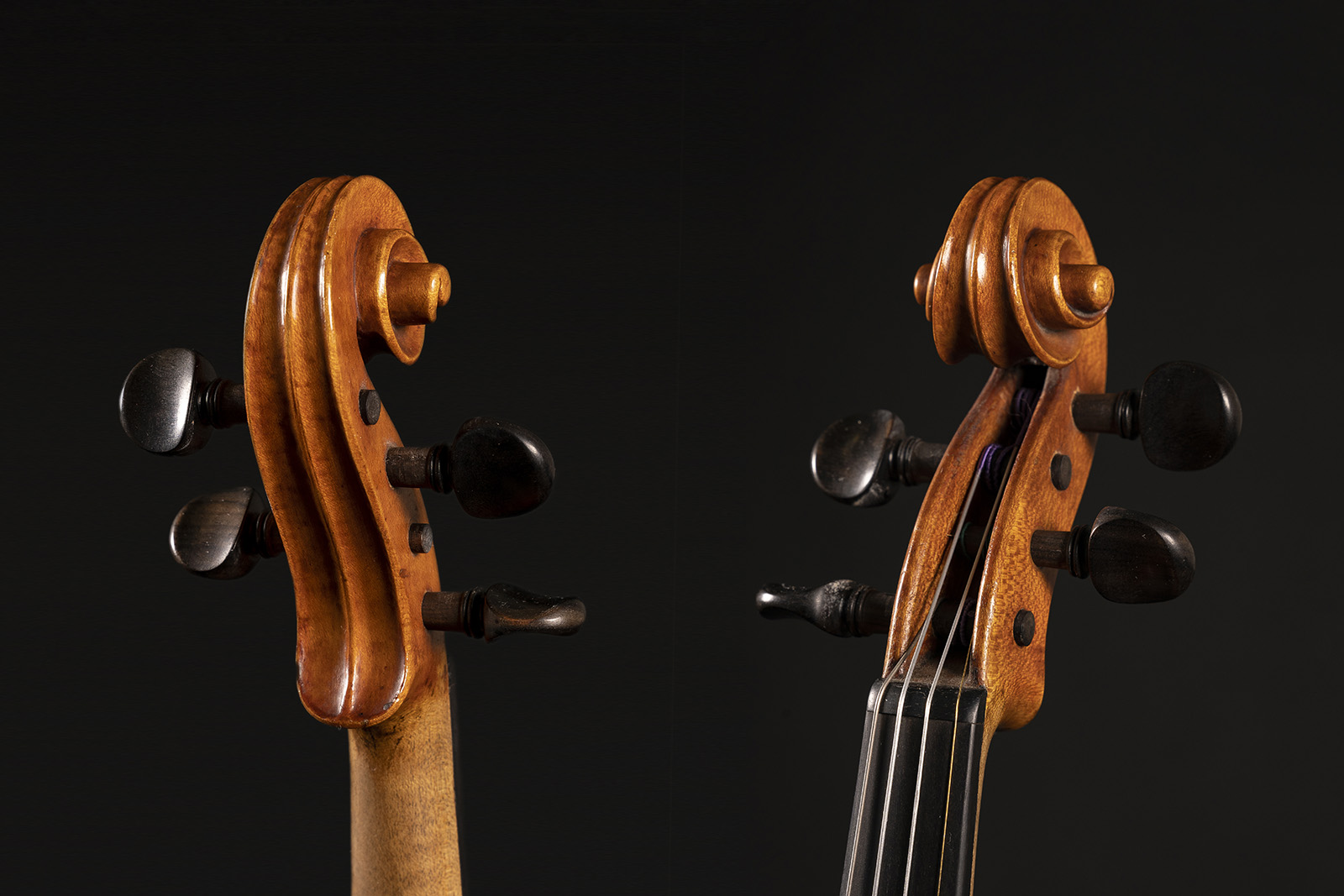 Vettori Family | Violin Makers in Florence History