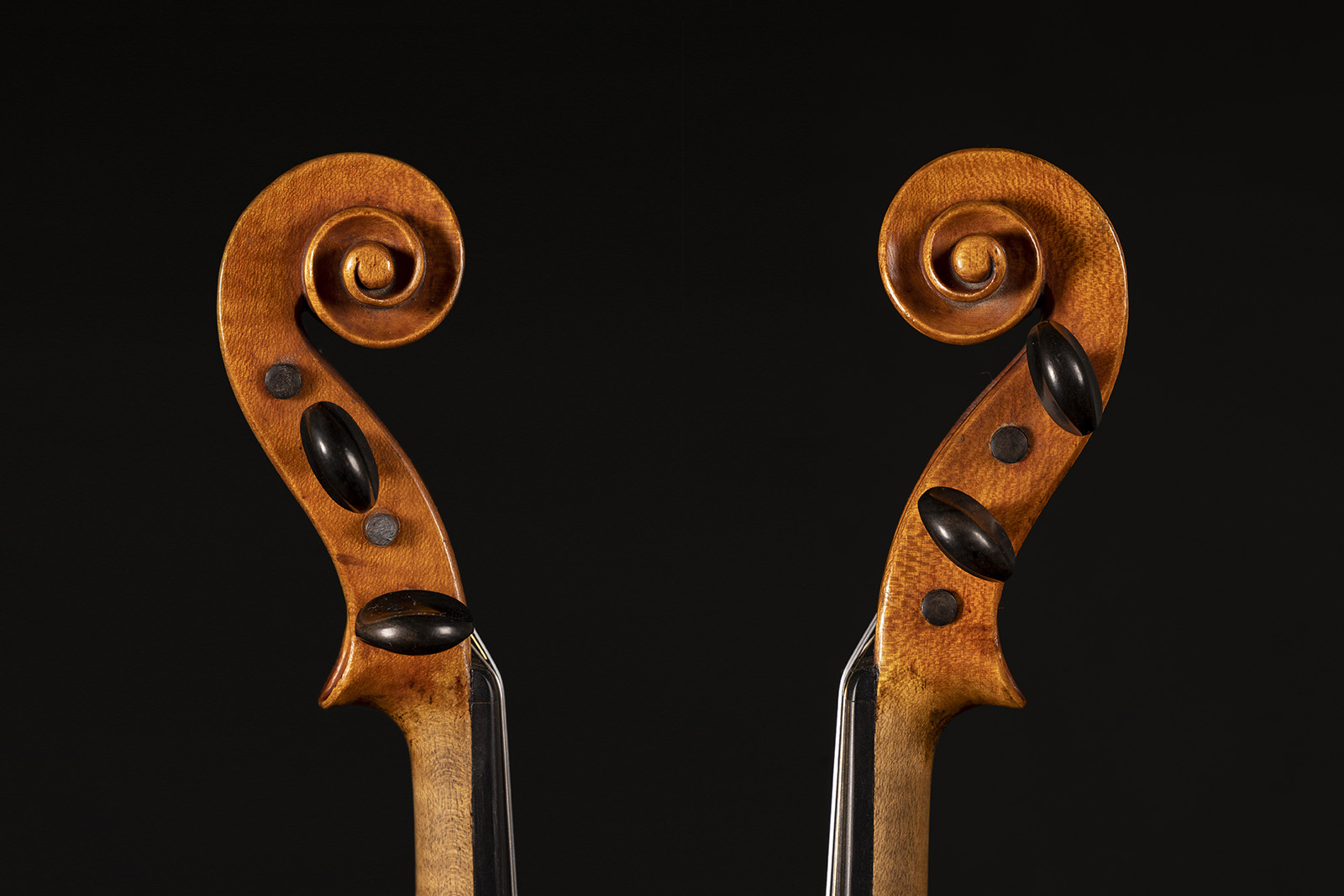 Vettori Family | Violin Makers in Florence History