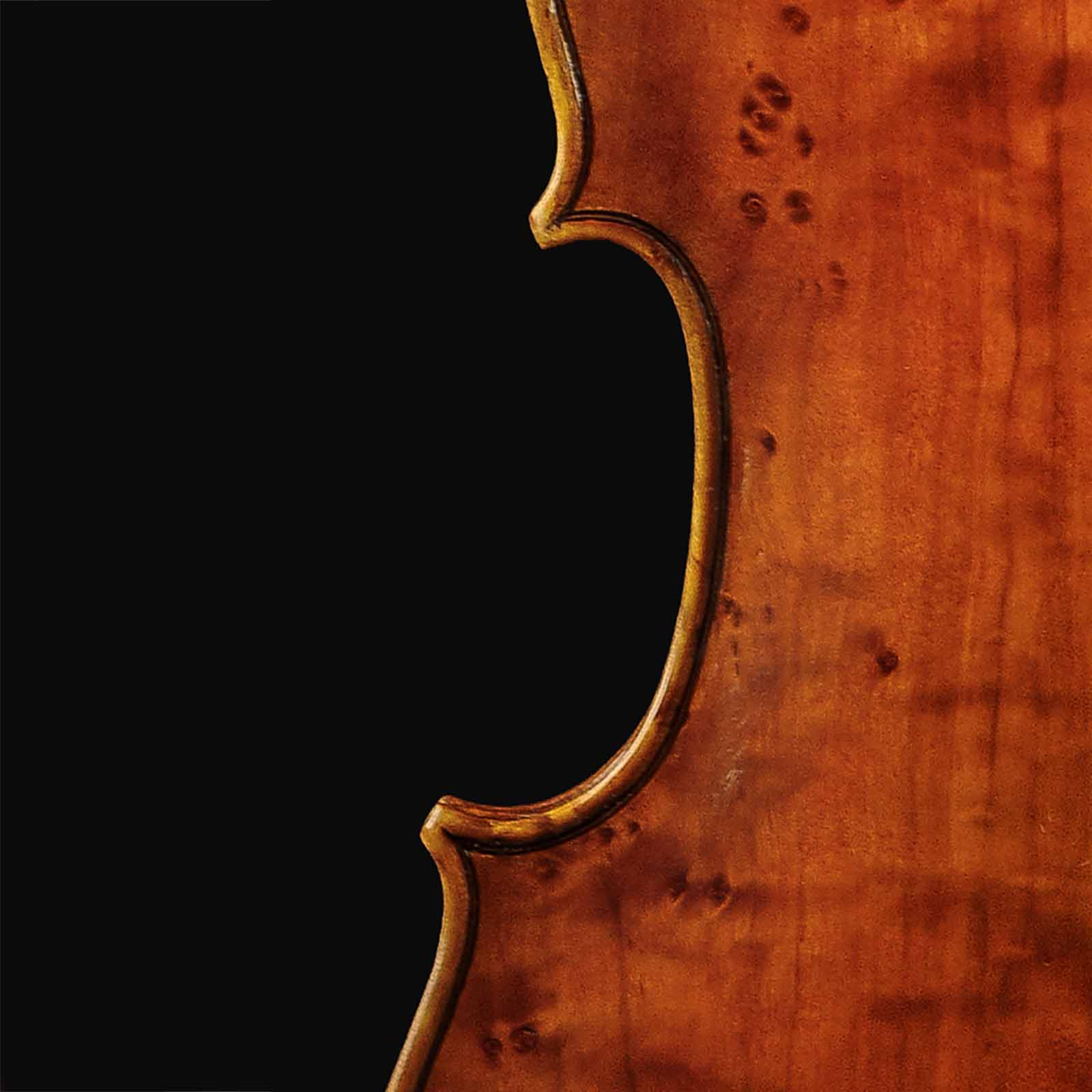 Antonio Stradivari Cremona 1672 “Populus“ cm 42 - Image 7