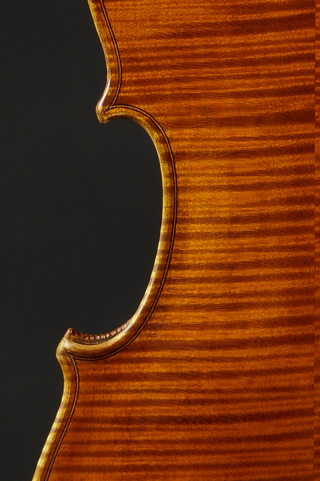 Antonio Stradivari Cremona 1715 “Forma G“ - Image 6