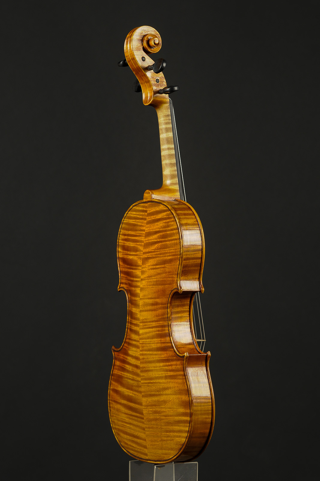 Antonio Stradivari Cremona 1716 “Mediceo“ - Image 3