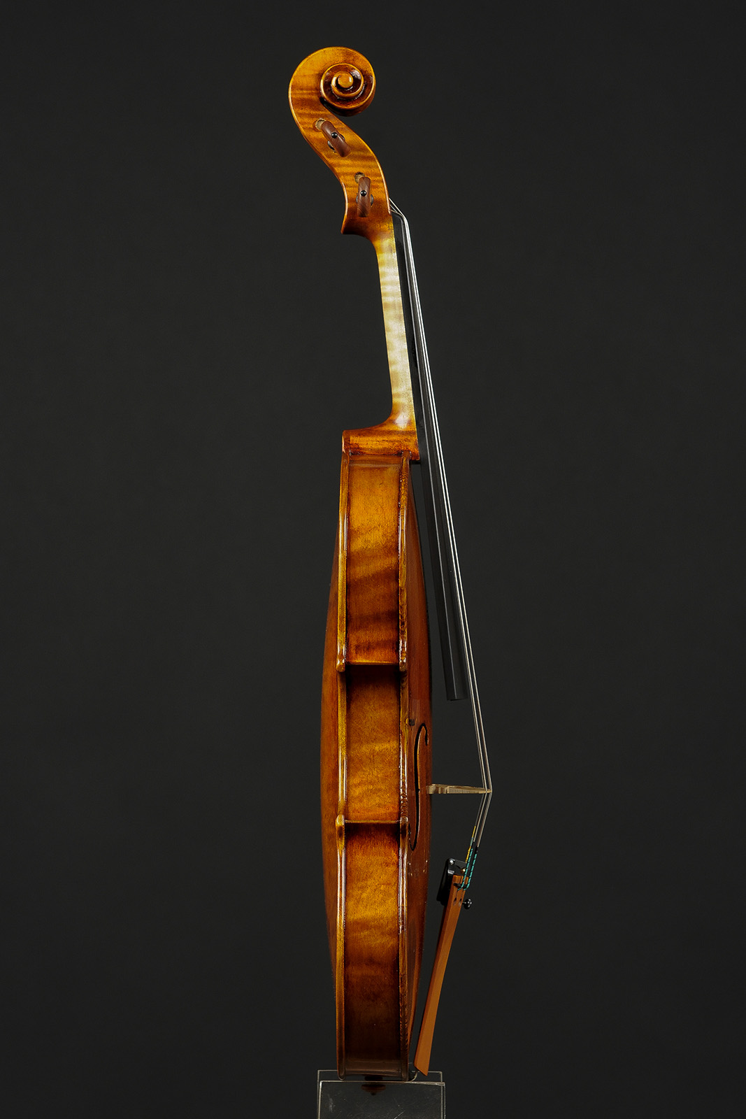 Antonio Stradivari Cremona 1717 “Renaissance Wood“ - Image 3