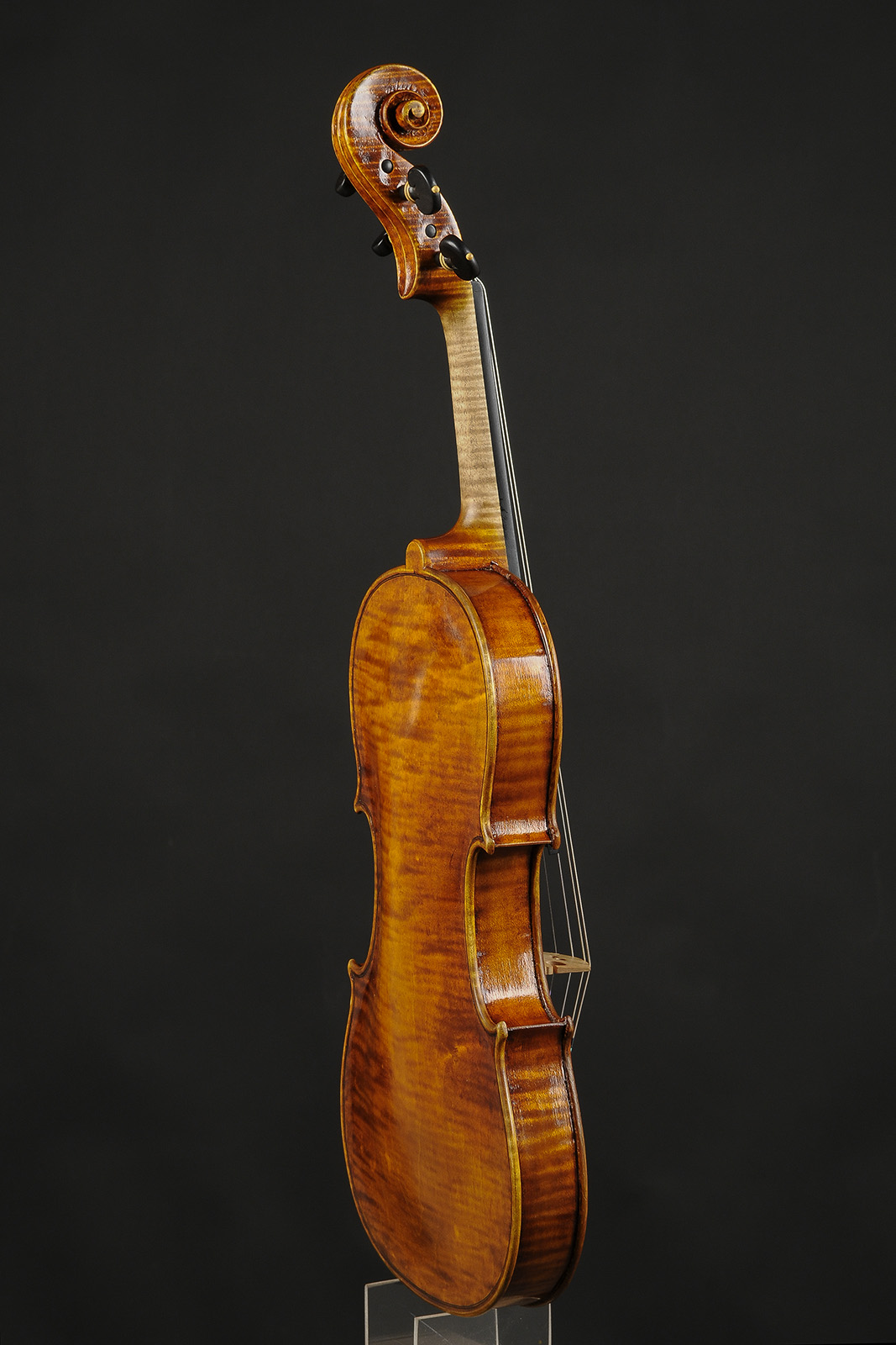 Antonio Stradivari Cremona 1717 “Golden Period“ - Image 4