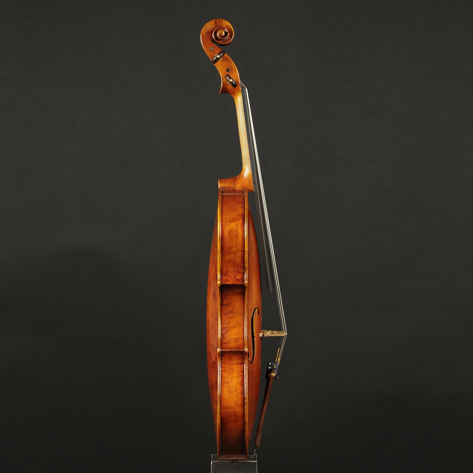 Antonio Stradivari Cremona 1672 “Salice Gattone“ cm 42 - Image 3