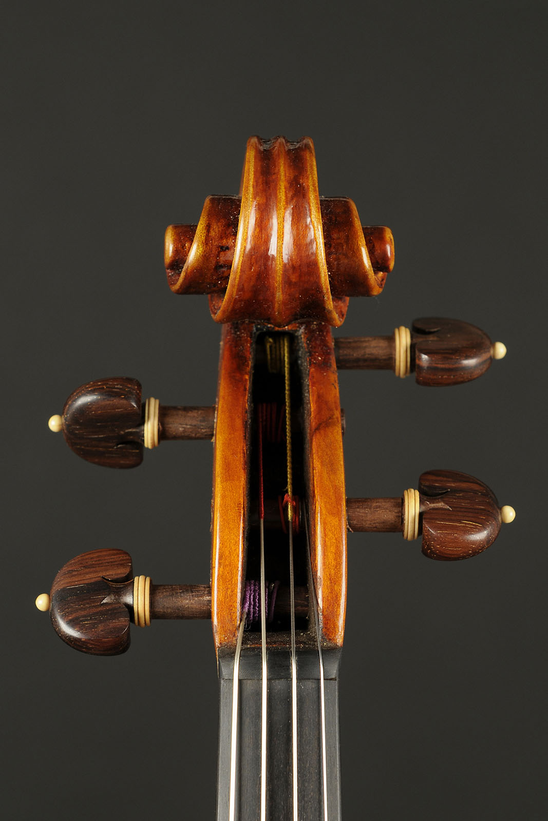 Antonio Stradivari Cremona 1672 “Salice Gattone“ cm 42 - Image 5