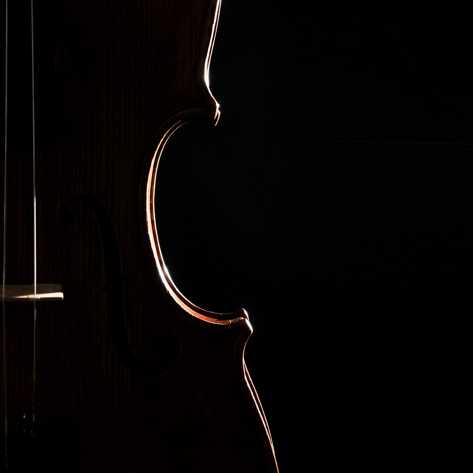 Antonio Stradivari Cremona 1672 “Gustav“ cm 42 - Image 7