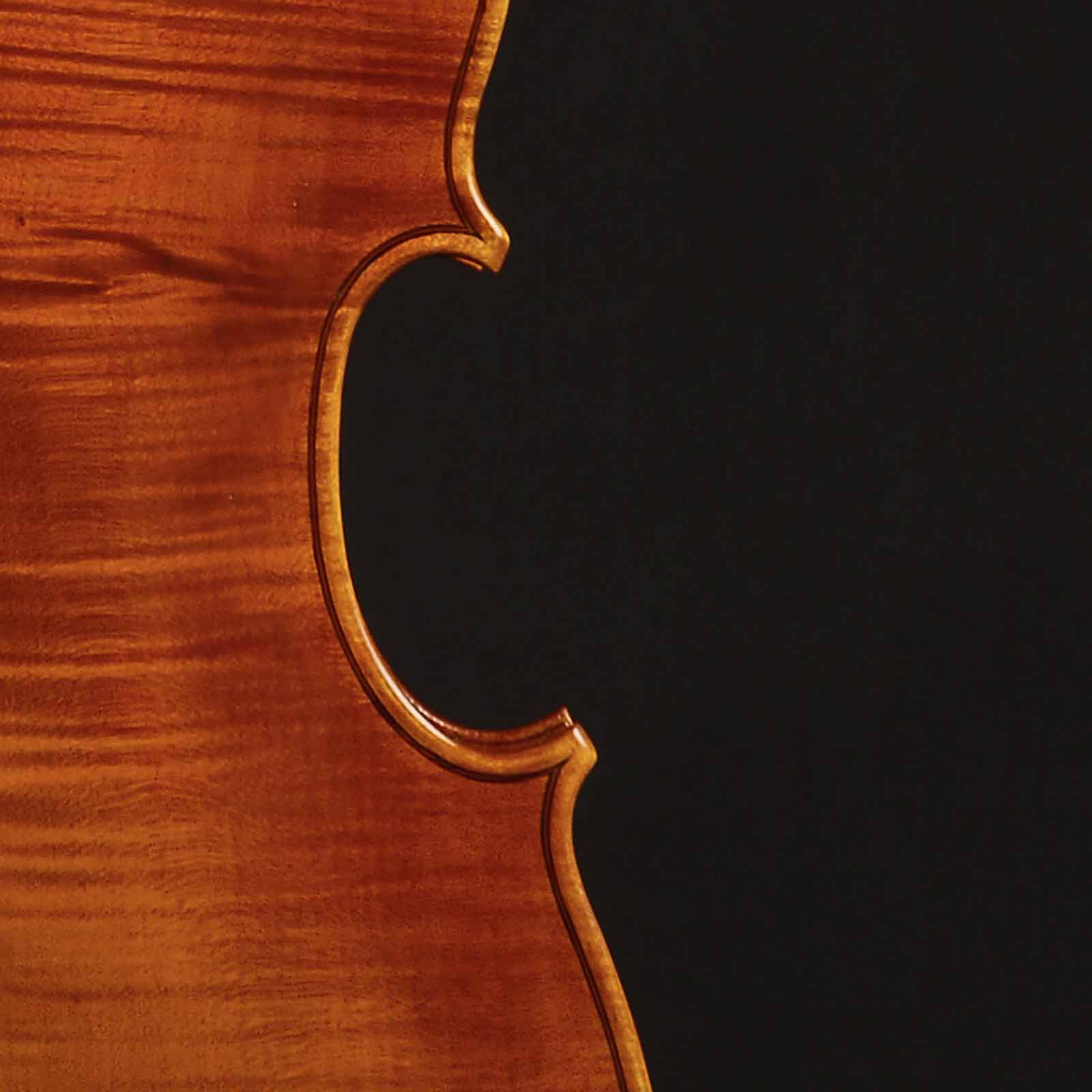 Antonio Stradivari Cremona 1672 “Anemone“ cm 42 - Image 3